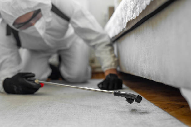 Professional Termite Control technician working in Richboro, PA