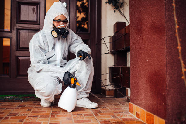 Reliable Termite Control contractor in Richboro, PA by Nex Pest Control