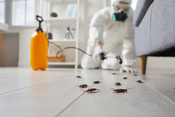 Trusted Cockroach Control service in Richboro, PA - Nex Pest Control